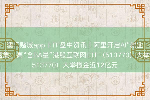 澳门赌城app ETF盘中资讯|阿里开启AI“就业期间”,催化密集,高“含BA量”港股互联网ETF(513770)大举揽金近12亿元