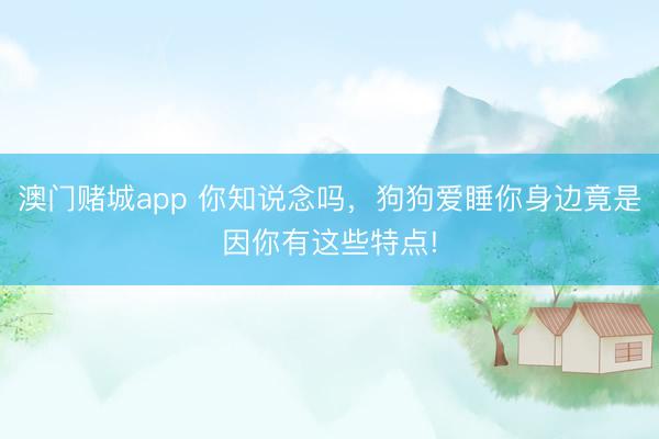 澳门赌城app 你知说念吗，狗狗爱睡你身边竟是因你有这些特点!