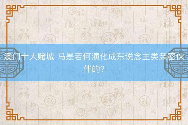 澳门十大赌城 马是若何演化成东说念主类亲密伙伴的?