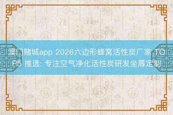 澳门赌城app 2026六边形蜂窝活性炭厂家 TOP5 推选: 专注空气净化活性炭研发坐蓐定制