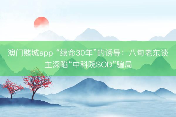 澳门赌城app “续命30年”的诱导:八旬老东谈主深陷“中科院SOD”骗局