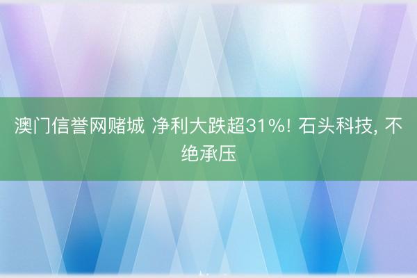 澳门信誉网赌城 净利大跌超31%! 石头科技， 不绝承压